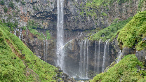 Scenic view of waterfall in forest