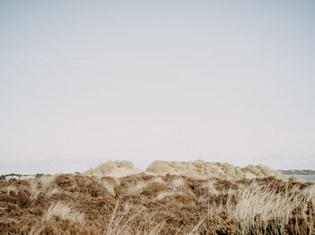 Scenic view of desert against clear sky