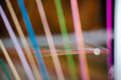 Close-up of multi colored object