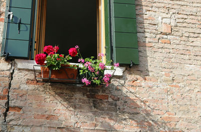 Potted plant on window by wall