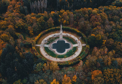 High angle view of trees in forest during autumn