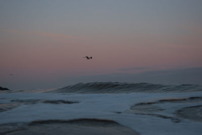 View of birds flying over sea during sunset