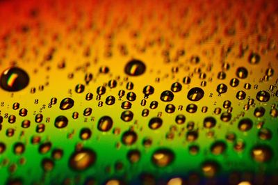 macro photography