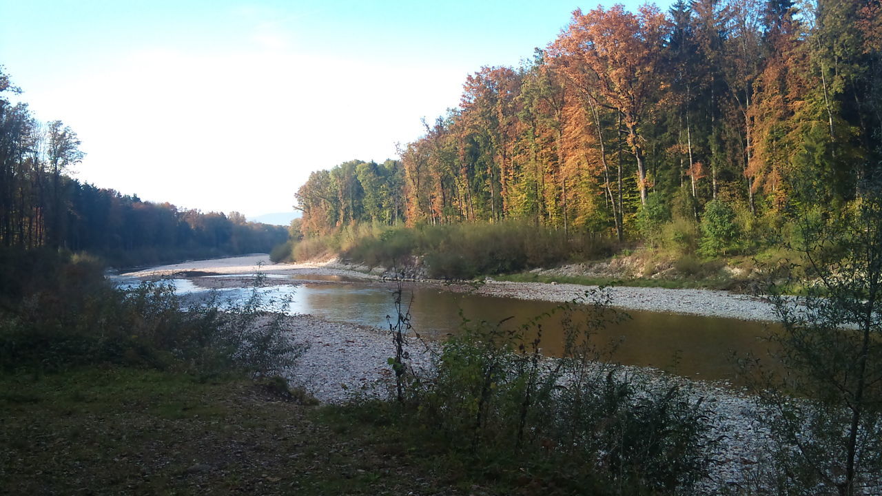 River Emme between Burgdorf and Kirchberg, Kanton Bern Photography october 2011