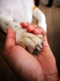 Close-up of hand holding ice cream