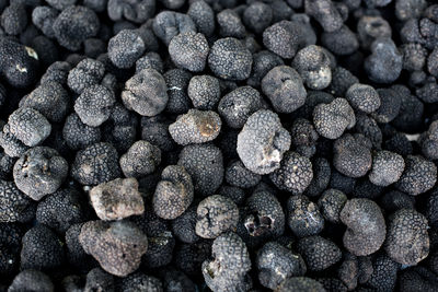 Full frame shot of black truffles