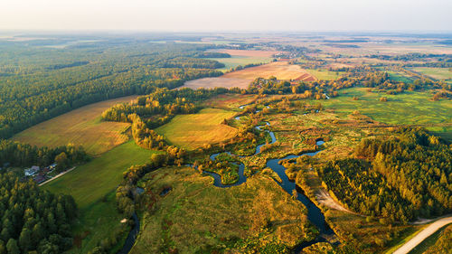 High angle view of trees on landscape against sky