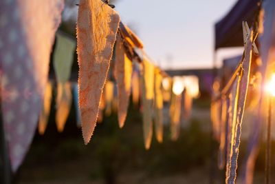 Close-up of clothes drying against sky during sunset