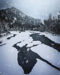 Snow covered tree by mountain against sky