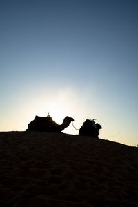 Silhouette people on beach against clear sky during sunset