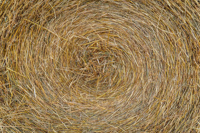 Full frame shot of hay bales on field