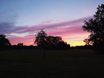 Silhouette trees on field against sky during sunset
