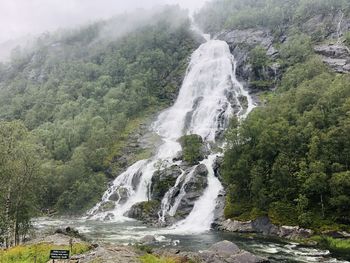 Scenic view of waterfall in forest