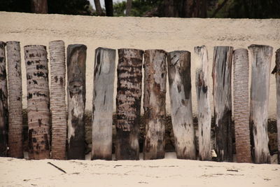 Close-up of old text on wood at beach
