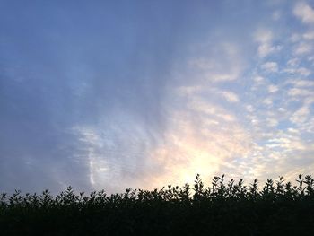 Scenic view of field against sky during sunset