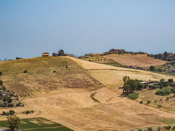 Scenic view of agricultural field against clear sky