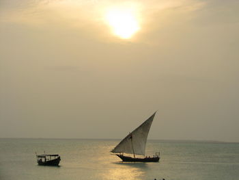 Boat sailing in calm sea against sky