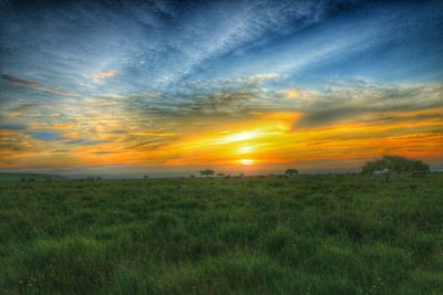 Scenic view of landscape at sunset