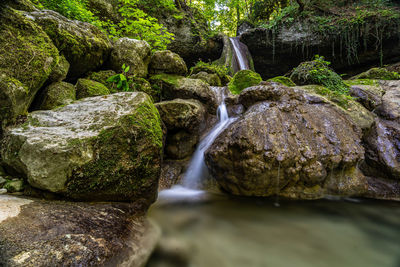 Scenic view of schwarzenbach waterfall  in forest