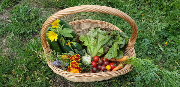 Various fruits in basket on field