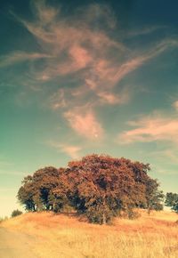 Scenic view of landscape against cloudy sky