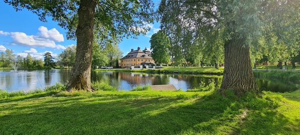 Scenic view of lake by trees in park