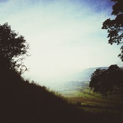 Trees on landscape against sky