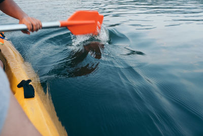 Person kayaking in lake