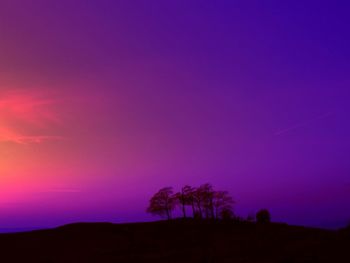 Silhouette of trees at sunset