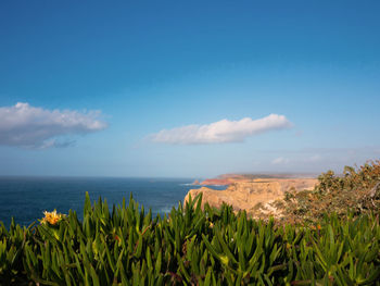 Cliffs in the cape of san vicente. sagres, portugal.