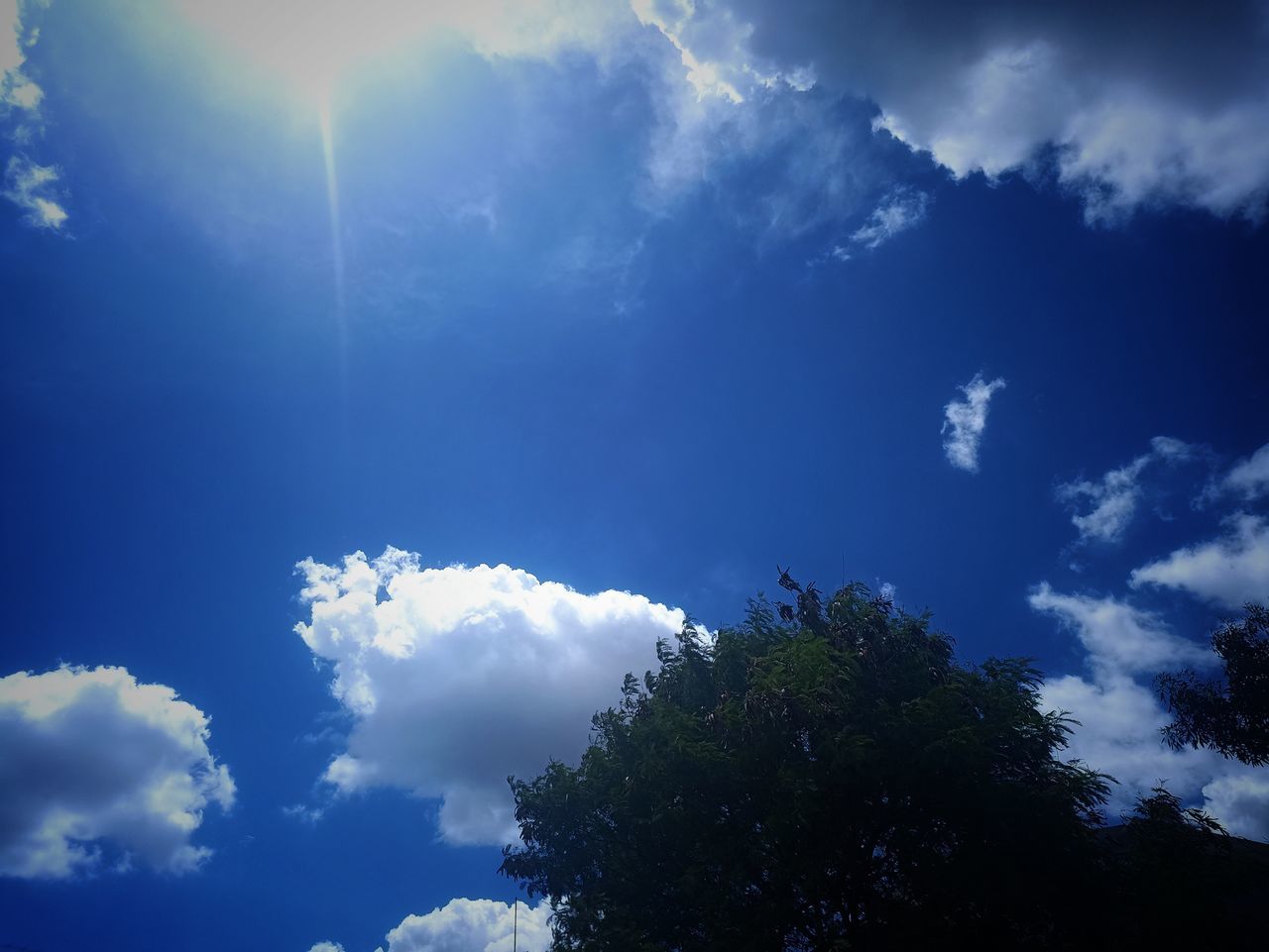 sky, cloud, sunlight, tree, nature, blue, beauty in nature, plant, environment, scenics - nature, cloudscape, daytime, no people, horizon, tranquility, sunbeam, outdoors, low angle view, dramatic sky, light, idyllic, landscape, tranquil scene, day, backgrounds