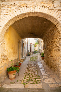 Empty alley amidst buildings