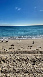 Scenic view of beach against blue sky