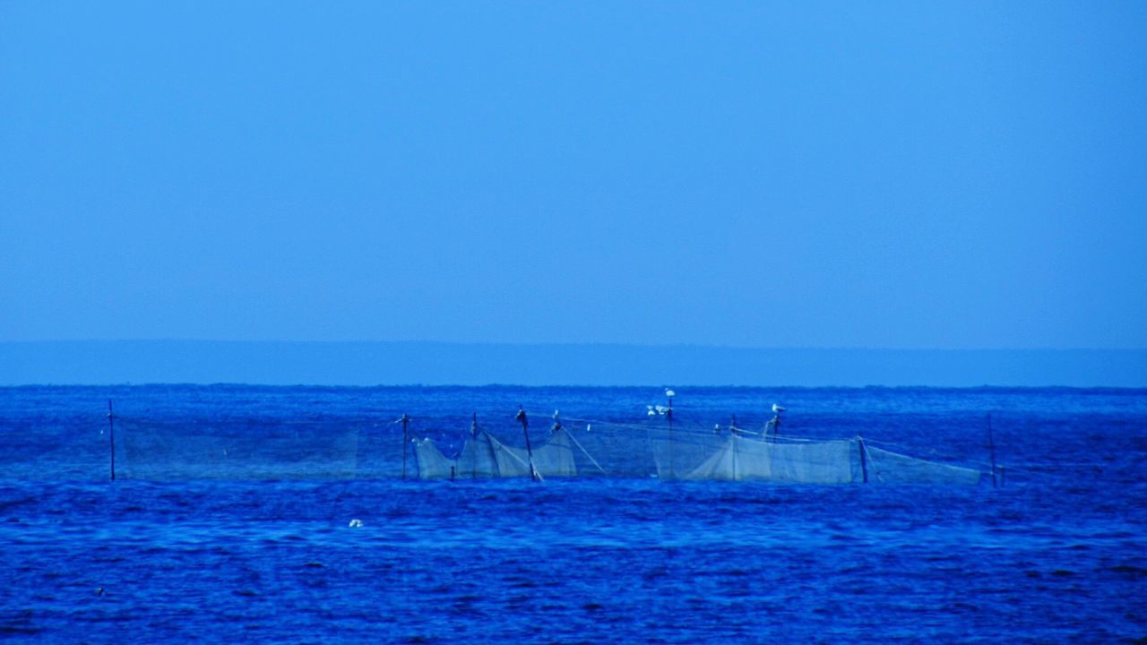 SCENIC VIEW OF BEACH AGAINST CLEAR SKY