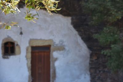 Close-up of plant by door