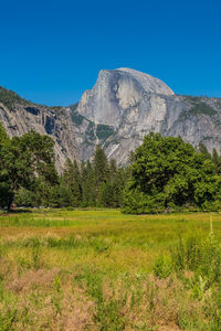 Scenic view of landscape against clear blue sky