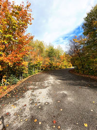 Road amidst trees and autumn leaves against sky