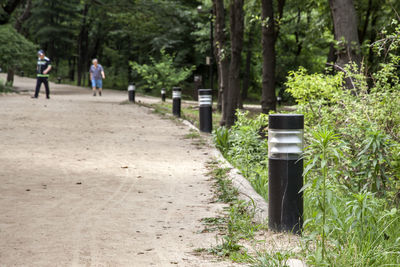 Footpath in park