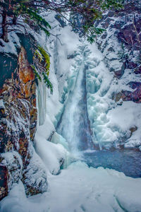 Snow covered land and trees