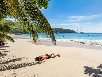 Man sunbathing on tropical sandy beach. relax, leisure, palm tree.