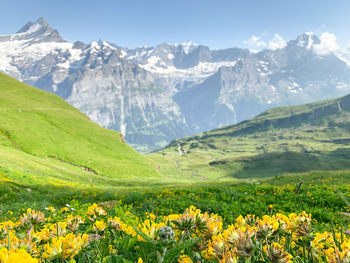 Scenic view of landscape and mountains against sky