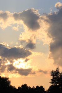 Low angle view of trees against cloudy sky