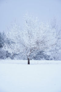 Scenic view of snow covered field against sky