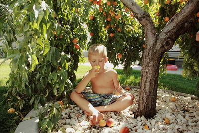 Cute boy eating peach on field