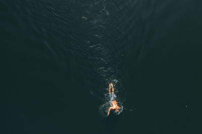 Man with a beautiful body swims in the lake. summer mood