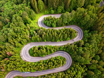 Long and winding rural road leading through dense green pine forest.