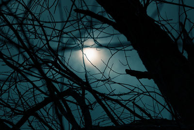 Low angle view of silhouette bare tree against sky at night