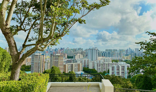 Trees and buildings in city against sky