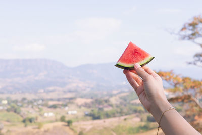 Cropped hand of woman holding leaf against sky