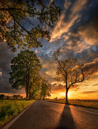 Road by trees on field against sky at sunset